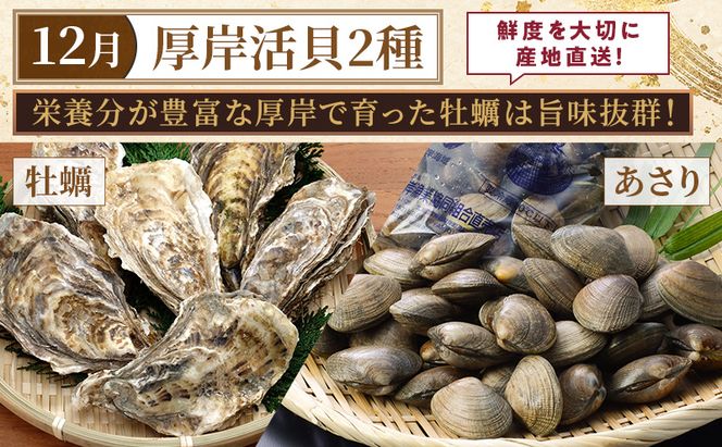 厚岸旬のふるさとセット 年4回お届け (毛蟹、しまえび、さんま、牡蠣、あさり 等)