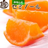 ［先行予約］厳選 セミノールオレンジ2.5kg+250g（傷み補償分）［春みかん］［有田産］［光センサー食べ頃出荷］［IKE153］ 303446_BB97274