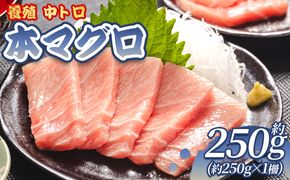 本まぐろ 中トロ 約250ｇ 1冊 養殖 -  鮪 まぐろ 中とろ 寿司 刺身 さしみ 海鮮丼 漬け丼 カルパッチョ おつまみ 新鮮 海産物 魚介 海の幸  オオジ 高知県 香南市 冷凍 oo-0026