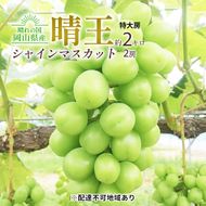 ぶどう 2026年 先行予約 シャイン マスカット 晴王 特大房 2房入り 合計約2kg 大粒 種無し ブドウ 葡萄 岡山県産 国産 フルーツ 果物 ギフト 橋田商店