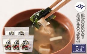 淡路島産わかめと玉ねぎのみそ汁の具　41g×5袋  みそ汁