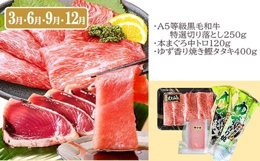 定期便(3回の配送)枕崎お楽しみ便(黒毛和牛・まぐろ中トロ・鰹・さつまあげetc) LL-6002 【1457816】