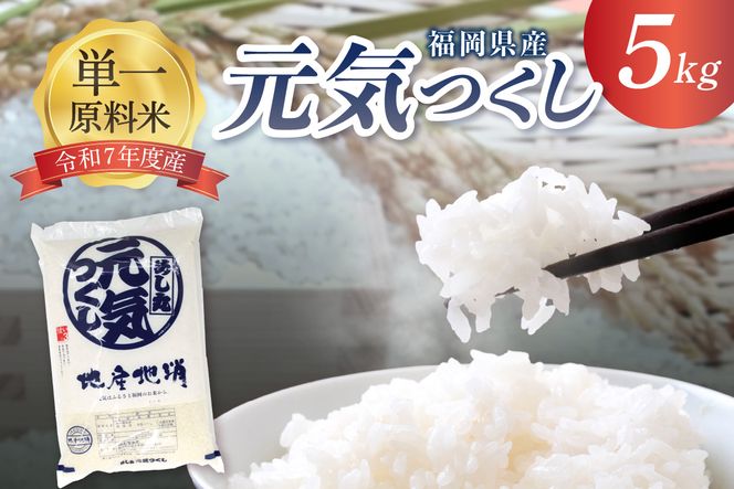 令和7年産 JAよりお届け！福岡県ブランド米「元気つくし」5kg【ほたるの里】_HA1788