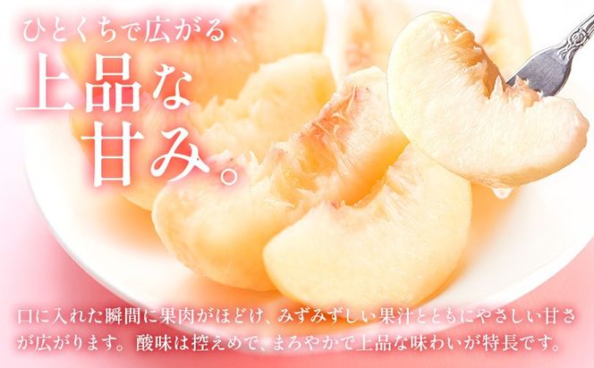桃 岡山の桃 約4kg《6月下旬-9月上旬頃発送》岡山県 笠岡市 白桃 岡山 はくとう スイーツ フルーツ 果物 デザート 旬 モモ もも 送料無料 果物 清水白桃 白鳳 白麗 クール便---kasaoka_zsy_321_40m---