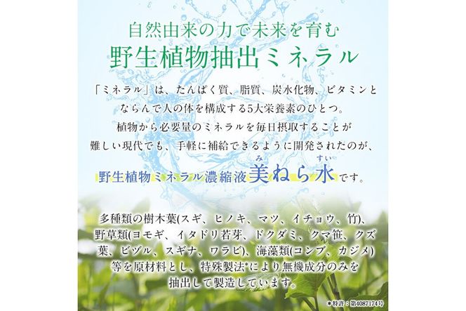 a991 美ねら水(みねらすい)・野生植物抽出ミネラル含有溶液(1本・100ml)【鹿児島ますや】みねらる ミネラル 鮮度維持 栄養補給 健康補助 健康食品 栄養 健康