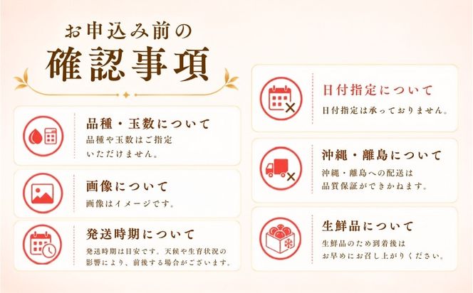 【2026年　先行予約】山梨県産　桃約２㎏（6～8玉）　GA003