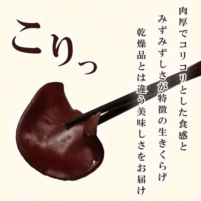 生キクラゲ500g オクラ500g セット 計1kg きのこ キノコ キクラゲ きくらげ おくら 野菜 生きくらげ やさい さのさんち JGAP認証農場 国産 調理 中華 スープ 肉巻き 天ぷら 夏 静岡県 藤枝市