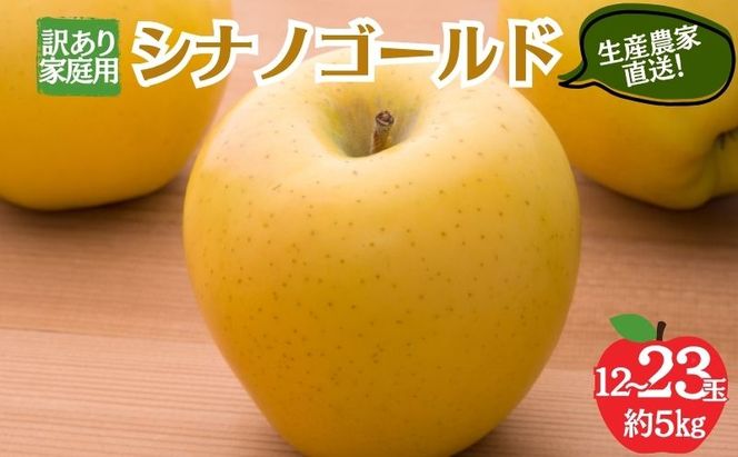 【2026年10月～発送】シナノゴールド 訳あり家庭用 約5kg 12～23玉 りんご 果物 訳あり 信州 長野