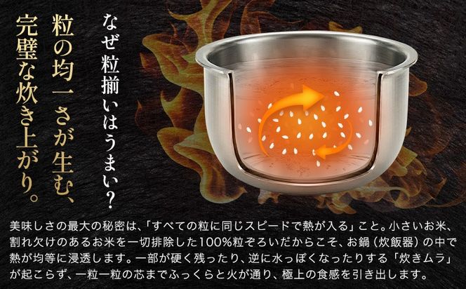 無洗米 米 5kg 10kg 20kg 晴れの国おかやま無洗米 プレミアム 《説明に記載の期間で発送いたします》岡山県 笠岡市 送料無料 岡山県産 米 お米 おこめ 岡山 むせんまい 米 無洗米 ギフト こめ コメ お米 kome---kasaoka_zsy_373_p5---