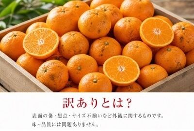 和歌山 有田 みかん 10kg 訳あり ご家庭用 2S〜2Lサイズ混合 / 有田みかん 甘い 柑橘  和歌山 ※2026年11月下旬頃〜12月下旬頃に順次発送予定 【uot004-c-10】