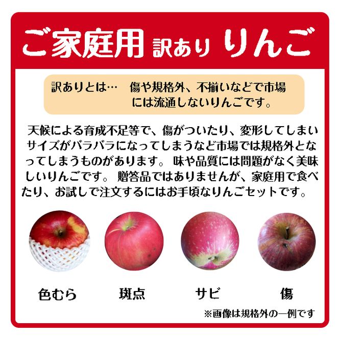 イーハトーヴ 訳あり りんご お試し（ 2kg以上）セット《11月より発送予定/予約受付》 【005-11】
