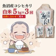 【３か月定期便】令和８年産新米　魚沼産コシヒカリ 精米５kg×３回　計15kg