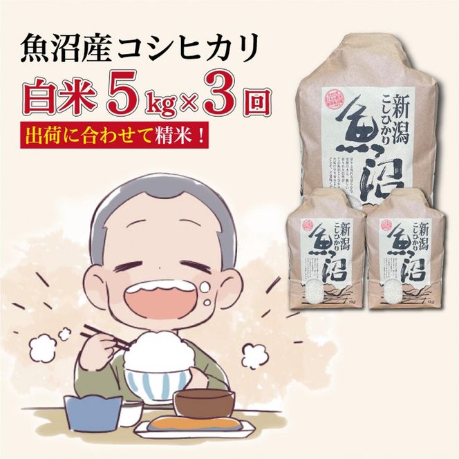 【３か月定期便】令和８年産新米　魚沼産コシヒカリ 精米５kg×３回　計15kg