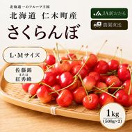 2027年発送 北海道 仁木町産  7月旬 さくらんぼ 720g （180g×4） Ｍ・Ｌサイズ サクランボ チェリー フルーツ 果物 果物類  仁木町 仁木 [JA新おたる]
