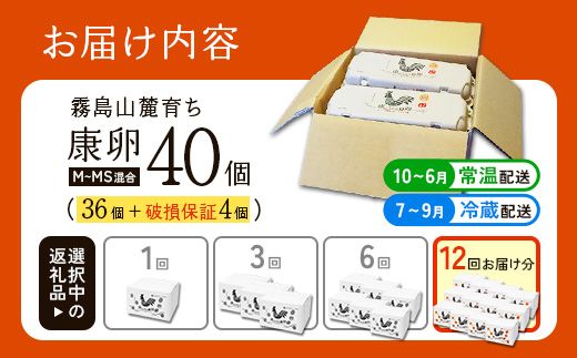 卵【12回 定期便】霧島山麓育ち こだわり卵 康卵 計40個（36個 + 割れ保証4個）12回 計 480個(432個 + 割れ保証 48個)たまご 玉子 卵焼き 玉子焼き たまご焼き 生卵 鶏卵 たまごかけごはん 国産 九州産 宮崎県産 送料無料