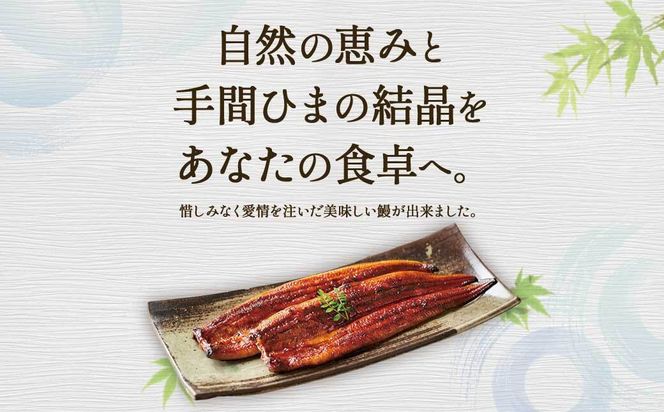 ふるさと納税限定　鹿児島県大崎町産 国産 うなぎ長蒲焼 3尾 計480g以上 | 鰻 うなぎ蒲焼き うな重 ひつまぶし ウナギ 蒲焼 人気 おすすめ 鹿児島 大隅半島 DU002　 464686_DU002