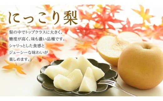 【 JA 北つくば 】 筑西ブランド 認証品 梨 3種 定期便 セット 2026年産 先行予約 果物 フルーツ なし ナシ 和梨 [AE031ci]