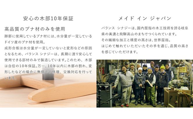 椅子 バランスシナジー カバーなし 選べる シート カラー 腰痛対策椅子 腰痛対策 家具