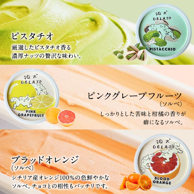 アイス 狛犬 ジェラート 6種類6個 食べ比べ セット ソルベ アイスクリーム 詰め合わせ ミルク いちご 抹茶 チョコレート チョコ ラムネ キャラメル ピスタチオ グレープフルーツ ブラッドオレンジ オレンジ ギフト プレゼント