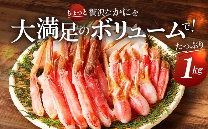 【北見応援返礼品】《生食可》北見市加工 生冷本ズワイガニ 1kg ( カニ かに 蟹 ズワイガニ ずわい蟹 海鮮 魚介類 )【209-0003-yell】