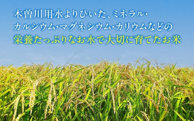 あいちのかおり 白米 5kg / 脇野コンバイン[AECP001-10]