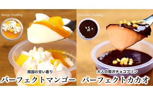 パーフェクトプリン10個入　パティスリー天使のおくりもの　※離島への配送不可