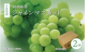 真庭市産 シャインマスカット 自宅用 2房 / (2026年9月中旬以降発送予定) ぶどう 岡山 真庭 大粒 葡萄 シャインマスカット 果物 フルーツ ブドウ 人気 数量限定 ご家庭用 皮ごと マスカット 産地直送 お買い得 新鮮 岡山名産 定番 【配送不可地域：北海道／沖縄県／離島】 shinemuscat06 【jujy013-02】