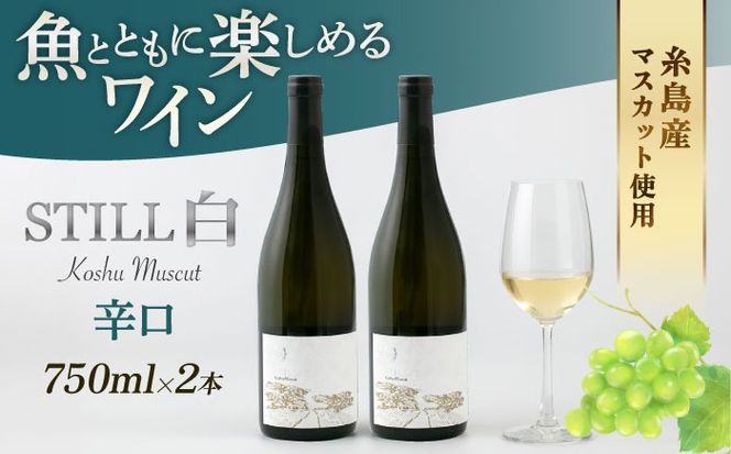 【糸島マスエワイナリ】STILL 白 Koshu Muscut 2本 糸島市 / いとしのいとしま[AEP002] 白ワイン 国産 ワイン 辛口  白 マスカット 甲州 魚介 糸島 ワイナリー