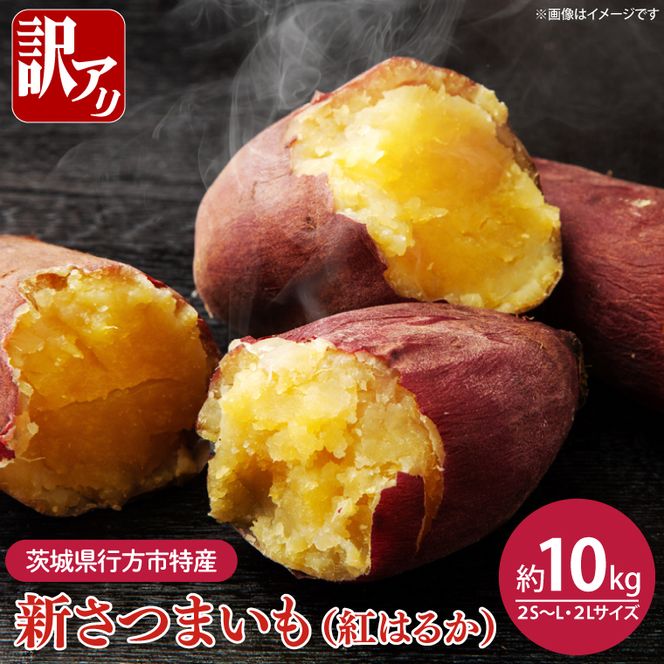 【2026年8月中旬より順次発送】★訳あり★茨城県行方市特産　新さつまいも（紅はるか）サイズミックス 約10kg｜訳あり わけあり 訳アリ さつまいも サツマイモ さつま芋 紅はるか べにはるか 芋 いも 茨城県産 行方市(FU-3)