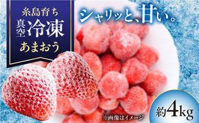 福岡県産 真空冷凍 あまおう いちご 約4kg  / 削りいちご 加工用 苺 イチゴ フルーツ 果物 / 糸島市 / mhshops[AKQ012]