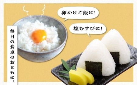 ＼ 令和6年産新米 ／ 糸島産 夢つくし 10kg 糸島市 / 三島商店 [AIM002] 米 白米