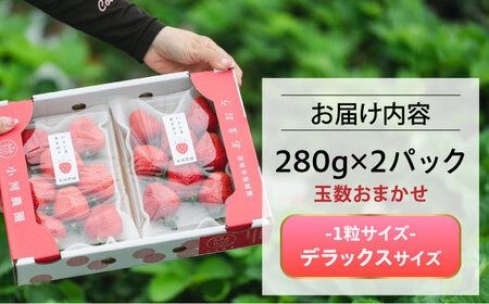 糸島産 完熟あまおう 280g×2パック (デラックスサイズ) 糸島市 / 小河農園 いちご フルーツ 果物 [AJN001]