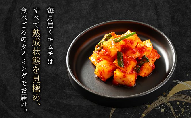 本場韓国キムチ定期便！ 12ヵ月 定番の人気3種+おすすめ1種 キムチ おつまみ 韓国食材 韓国料理 静岡県 袋井市