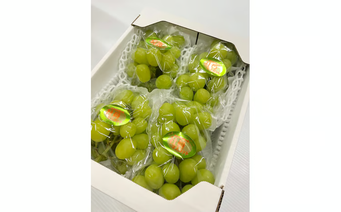 【2026年先行予約】訳ありだけど、甘～いシャインマスカット/約2kg (岡山県産) 【KF-B020-03】