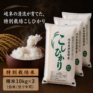 【令和7年産】特別栽培米 30kg【白米、7分ツキ】（コシヒカリ）