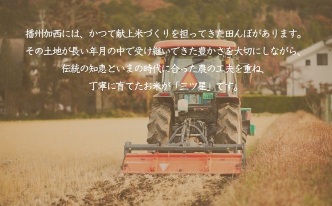 食べてみたいお米 Alatana 米 「三ツ星」 白米 5kg 精米 お米
