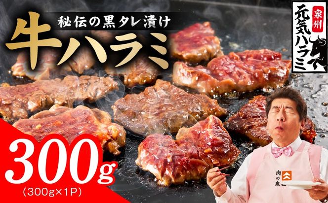 005A810 【新登場】極旨黒ダレ 牛ハラミ 300g【お試し 牛肉 はらみ 小分け 焼肉 お弁当 BBQ 訳あり ワケアリ わけあり サイズ不揃い 規格外 TVで話題】