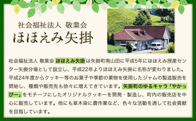 やかっぴークッキー&洋菓子(おまかせ)詰め合わせセットB ほほえみ矢掛《60日以内に出荷予定(土日祝除く)》岡山県 矢掛町---osy_hohosetb_60d_24_13500_b---