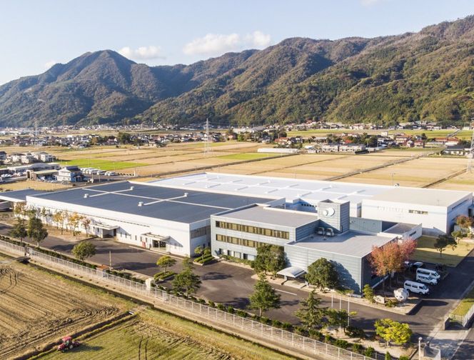 ツインキルト羽毛ふとん　シェリルFD　【ピンク色】 322032_AG014VC01