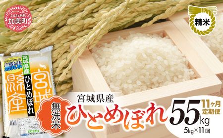 y{錧zy11ցzR7 {錧Y ЂƂ߂ڂ  5kg×11 [ {錧   ]   R  sw-hb05-mu-t11-r7