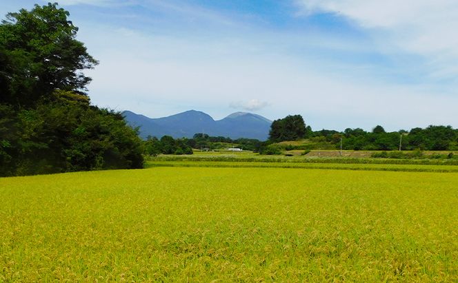 小諸市 御牧ヶ原産こしひかり 　6kg（2kg×3袋）長野 信州 コシヒカリ 精米 美味しいお米 お取り寄せ おこめ 白米