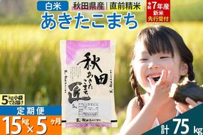 【白米】＜令和7年産 新米予約＞ 《定期便5ヶ月》秋田県産 あきたこまち 15kg (5kg×3袋)×5回 15キロ お米  新米|02_snk-010705s