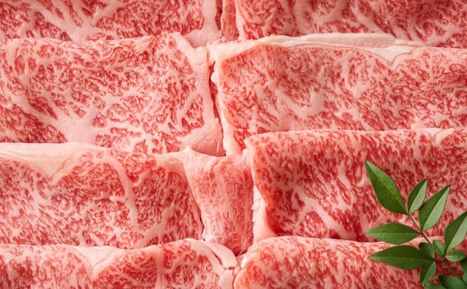 【厳選部位】 博多和牛 サーロイン しゃぶしゃぶすき焼き用 300g