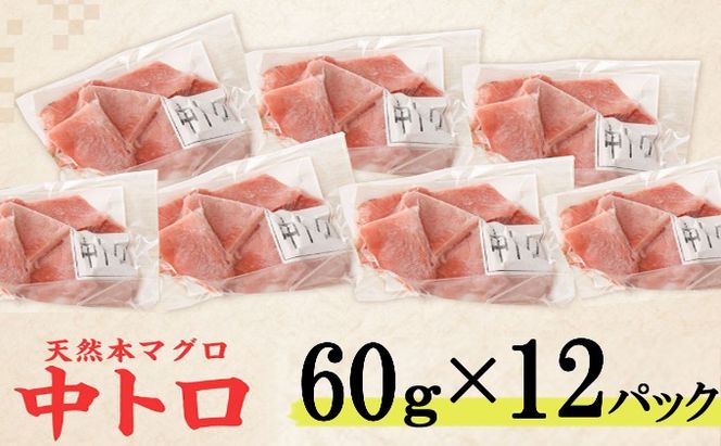 マグロ 中トロ !《 天然本まぐろ 》 中トロ 切落し 【ちょこっとパック】720g（60g×12パック）天然まぐろ 本マグロ まぐろ 鮪 マグロ お手軽 食べきりサイズ 切り落とし お刺身 魚介類 海鮮 小分け 魚 魚貝 高知 簡単 簡単調理 惣菜 冷凍 室戸 mgr tk187