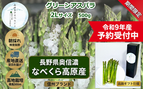 【令和9年産先行予約】アスパラガス みゆきアスペルジュ 2Lサイズ 500g入り(8〜9本)《出荷時期：2027年5月中旬頃〜》株式会社ForestDoor  (Ce-003)
