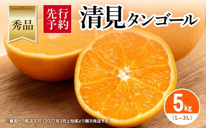 【先行予約】【秀品】清見タンゴール 5kg（L～3L）※離島への配送不可 （2027年3月上旬頃より順次発送予定） IKTAR012
