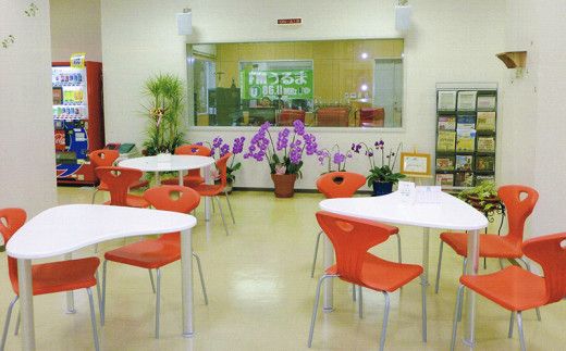 【FMうるま】ラジオ放送40秒メッセージチケット【ワンコメラジオ】