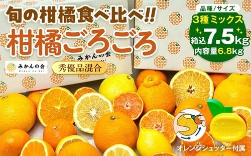 旬の柑橘食べ比べ 柑橘ごろごろ 3種 箱込 7.5kg(内容量約 6.8kg) 秀品 優品 混合 和歌山県産 産地直送 【おまけ付き】【みかんの会】  AX249