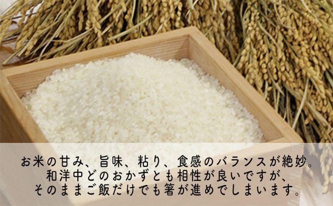 【6ヶ月連続】令和8年産福井県若狭町コシヒカリ（一等米）5kg（山心ファーム） お米 福井県産 甘い