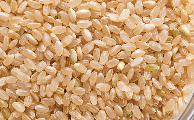 令和7年 きぬむすめ 玄米 10kg 晴れの国 岡山県産 米 お米 コメ おこめ 岡山 赤磐市